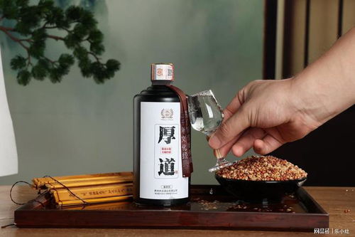 全國哪的白酒最好喝 經評鑒,這5款白酒名列前茅,有你的家鄉嗎